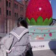 ヒメ日記 2026/03/04 18:17 投稿 苺　ぷりん マーベリック横浜