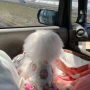 ヒメ日記 2026/03/07 03:34 投稿 苺　ぷりん マーベリック横浜