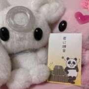 ヒメ日記 2026/03/11 22:14 投稿 苺　ぷりん マーベリック横浜