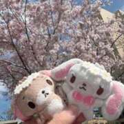 ヒメ日記 2026/03/27 15:04 投稿 苺　ぷりん マーベリック横浜