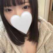 ヒメ日記 2026/02/12 15:55 投稿 うゆ 奈良市ちゃんこ