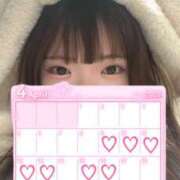 ヒメ日記 2026/04/06 16:47 投稿 うゆ 奈良市ちゃんこ