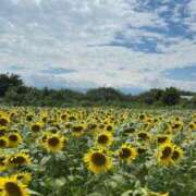 ヒメ日記 2025/09/05 23:07 投稿 ゆめ 清楚