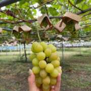 ヒメ日記 2025/10/07 20:40 投稿 ゆめ 清楚