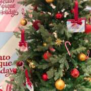 ゆめ おやすみの日 清楚