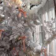 ヒメ日記 2025/12/27 09:00 投稿 ゆめ 清楚