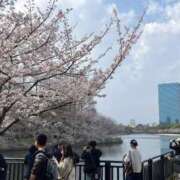 ヒメ日記 2026/04/07 12:13 投稿 まこと 大阪回春性感マッサージ倶楽部