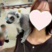 ヒメ日記 2025/11/14 17:24 投稿 西山ゆうか JKリフレ東京 秋葉原本店