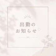 ヒメ日記 2026/08/29 10:55 投稿 Seira【せいら】～八代櫻華～ 九州熟女　八代店