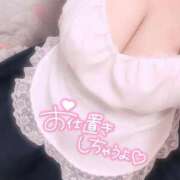 ヒメ日記 2025/11/01 21:39 投稿 きほ 香川高松ちゃんこ