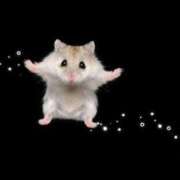 えま 大BAD⤵️ リアル 日本橋店