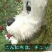 ヒメ日記 2026/02/06 03:58 投稿 えま リアル 日本橋店