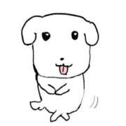 ヒメ日記 2026/02/24 02:38 投稿 えま リアル 日本橋店