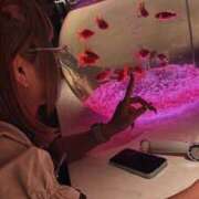 ヒメ日記 2026/03/04 02:58 投稿 えま リアル 日本橋店