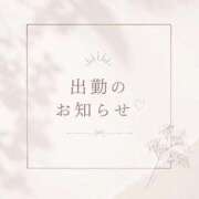 ヒメ日記 2026/08/29 10:56 投稿 Seira【せいら】～八代櫻華～ 九州熟女　熊本店