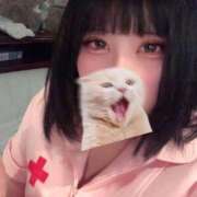 ヒメ日記 2025/10/12 11:48 投稿 あおい【ん？ドМだと！？】 ソープランド看護学院ディエックス