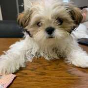 ヒメ日記 2025/11/15 22:43 投稿 こむぎ 熟女の風俗最終章 本厚木店