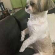 ヒメ日記 2025/11/29 00:21 投稿 こむぎ 熟女の風俗最終章 本厚木店