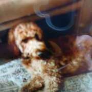 ヒメ日記 2025/11/29 23:37 投稿 こむぎ 熟女の風俗最終章 本厚木店