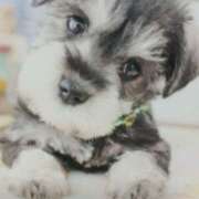 こむぎ こむぎです♥️ 熟女の風俗最終章 本厚木店