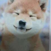 こむぎ こむぎ 熟女の風俗最終章 本厚木店