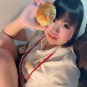 ヒメ日記 2025/10/20 08:28 投稿 歩鈴（ぷりん） 今日、私はあなたの部下（マーベリックグループ）