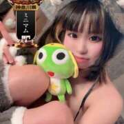 ヒメ日記 2025/10/30 07:58 投稿 歩鈴（ぷりん） 今日、私はあなたの部下（マーベリックグループ）