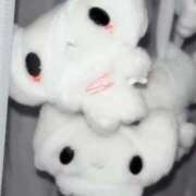 ヒメ日記 2025/11/19 16:08 投稿 歩鈴（ぷりん） 今日、私はあなたの部下（マーベリックグループ）