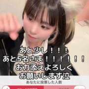 ヒメ日記 2025/11/23 09:38 投稿 歩鈴（ぷりん） 今日、私はあなたの部下（マーベリックグループ）