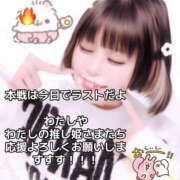 ヒメ日記 2025/11/24 12:58 投稿 歩鈴（ぷりん） 今日、私はあなたの部下（マーベリックグループ）