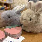 ヒメ日記 2025/11/28 03:28 投稿 歩鈴（ぷりん） 今日、私はあなたの部下（マーベリックグループ）