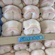 ヒメ日記 2025/12/27 15:08 投稿 歩鈴（ぷりん） 今日、私はあなたの部下（マーベリックグループ）