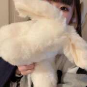 ヒメ日記 2025/12/31 09:28 投稿 歩鈴（ぷりん） 今日、私はあなたの部下（マーベリックグループ）