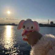 ヒメ日記 2026/01/17 16:28 投稿 歩鈴（ぷりん） 今日、私はあなたの部下（マーベリックグループ）