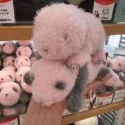 ヒメ日記 2026/03/08 01:48 投稿 歩鈴（ぷりん） 今日、私はあなたの部下（マーベリックグループ）