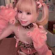 ヒメ日記 2026/03/21 08:48 投稿 歩鈴（ぷりん） 今日、私はあなたの部下（マーベリックグループ）