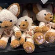 ヒメ日記 2026/03/22 02:08 投稿 歩鈴（ぷりん） 今日、私はあなたの部下（マーベリックグループ）