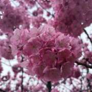 ヒメ日記 2026/03/25 02:38 投稿 歩鈴（ぷりん） 今日、私はあなたの部下（マーベリックグループ）