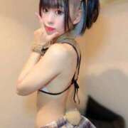 ヒメ日記 2026/04/06 12:28 投稿 歩鈴（ぷりん） 今日、私はあなたの部下（マーベリックグループ）