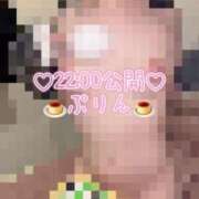 ヒメ日記 2026/04/19 12:28 投稿 歩鈴（ぷりん） 今日、私はあなたの部下（マーベリックグループ）