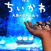 ヒメ日記 2026/08/23 13:18 投稿 歩鈴（ぷりん） 今日、私はあなたの部下（マーベリックグループ）