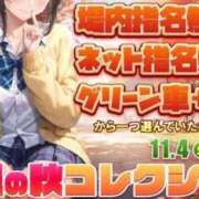 ヒメ日記 2025/11/05 06:20 投稿 つばき 電車ごっこ