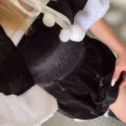 ヒメ日記 2025/12/24 06:10 投稿 つばき 電車ごっこ