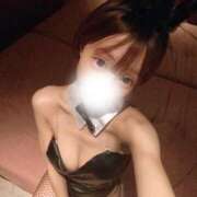 ヒメ日記 2026/02/28 11:31 投稿 りん ドマーニ