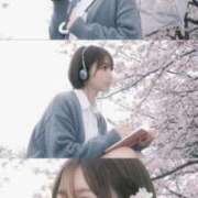 ヒメ日記 2026/03/13 16:40 投稿 りん ドマーニ