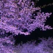 ヒメ日記 2026/04/06 18:54 投稿 りん ドマーニ