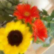 ヒメ日記 2025/10/10 15:08 投稿 莉々（りり）ベーシック新人 aroma ace.