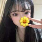 ヒメ日記 2025/12/14 00:29 投稿 せれん IRIS(岐阜)