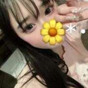 ヒメ日記 2025/12/14 16:21 投稿 せれん IRIS(岐阜)