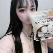 ヒメ日記 2026/01/17 03:00 投稿 せれん IRIS(岐阜)